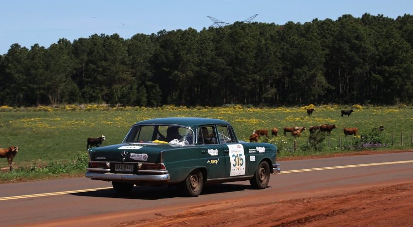 Gran Premio Argentino Histórico: 50 fotos de la competencia de autos añejos por la Mesopotamia