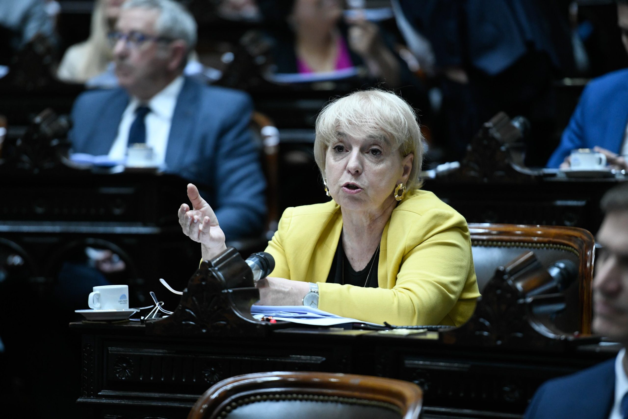 Silvana Giudici, diputada Pro. Foto Cámara de Diputados