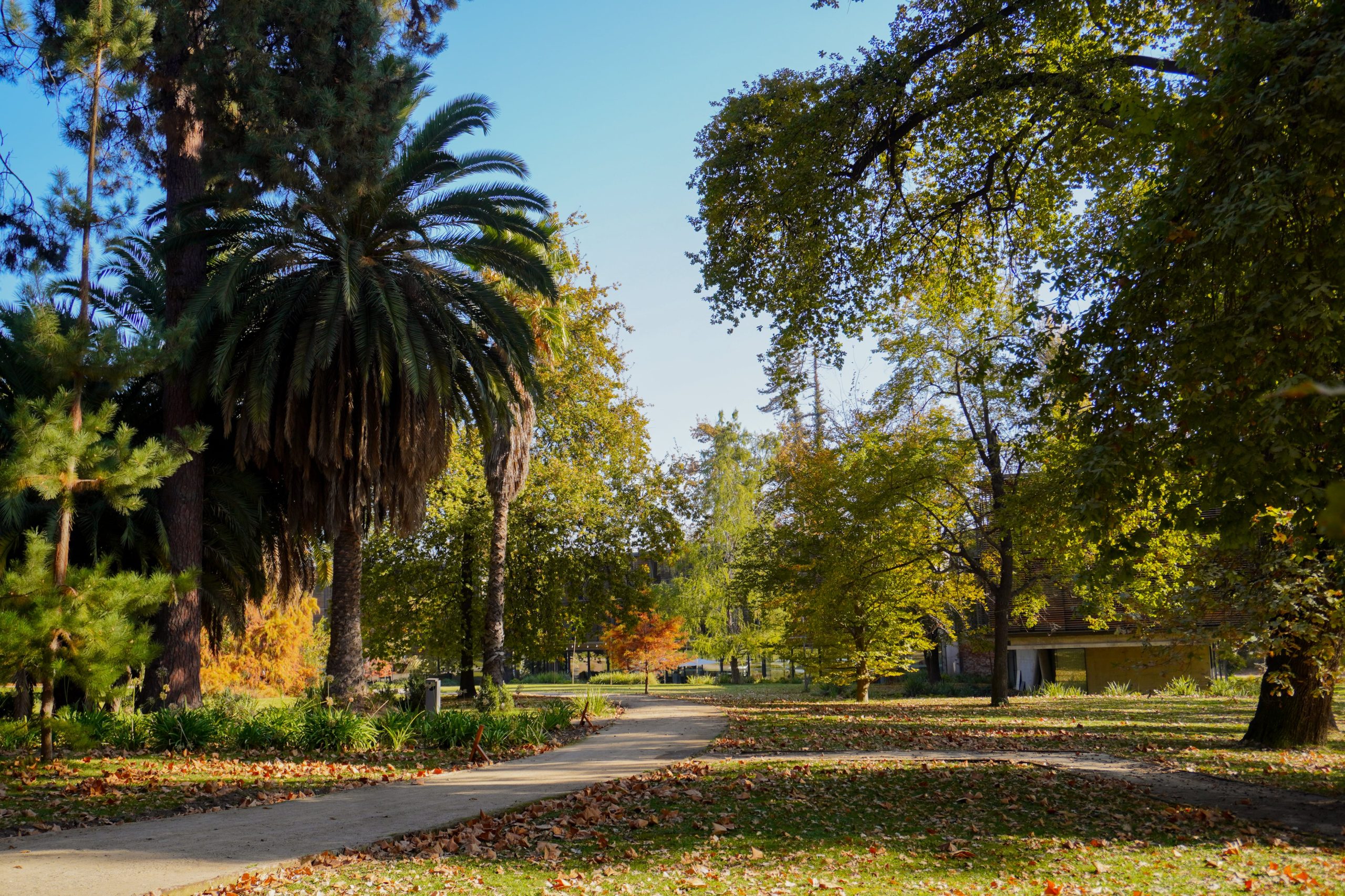 El jardín también revivió cuando llegó la renovación