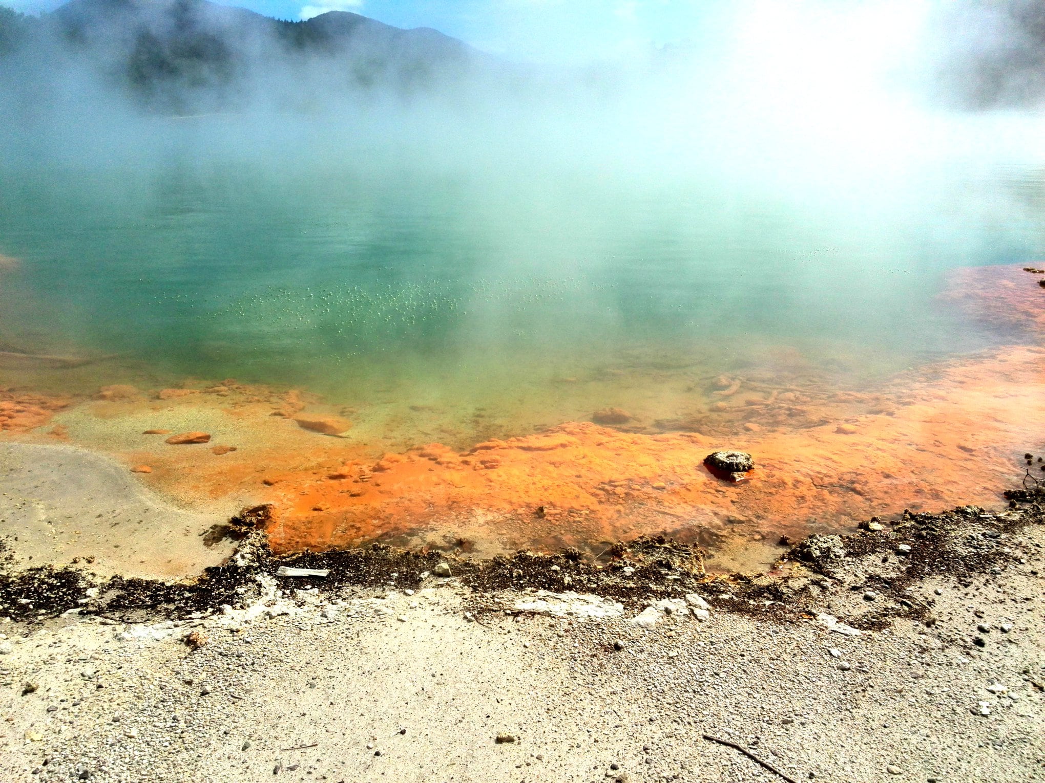 En Rotorua, Nueva Zelanda, hay una intensa actividad volcánica y geotérmica, que se manifiesta en géiseres, pozas de lodo hirviendo, fumarolas y un característico olor a azufre.
