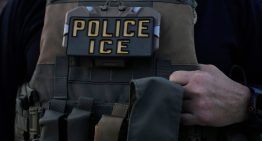 Qué documentos pide el ICE antes de detener a un migrante en Florida Qué documentos pide el ICE antes de detener a un migrante en Florida