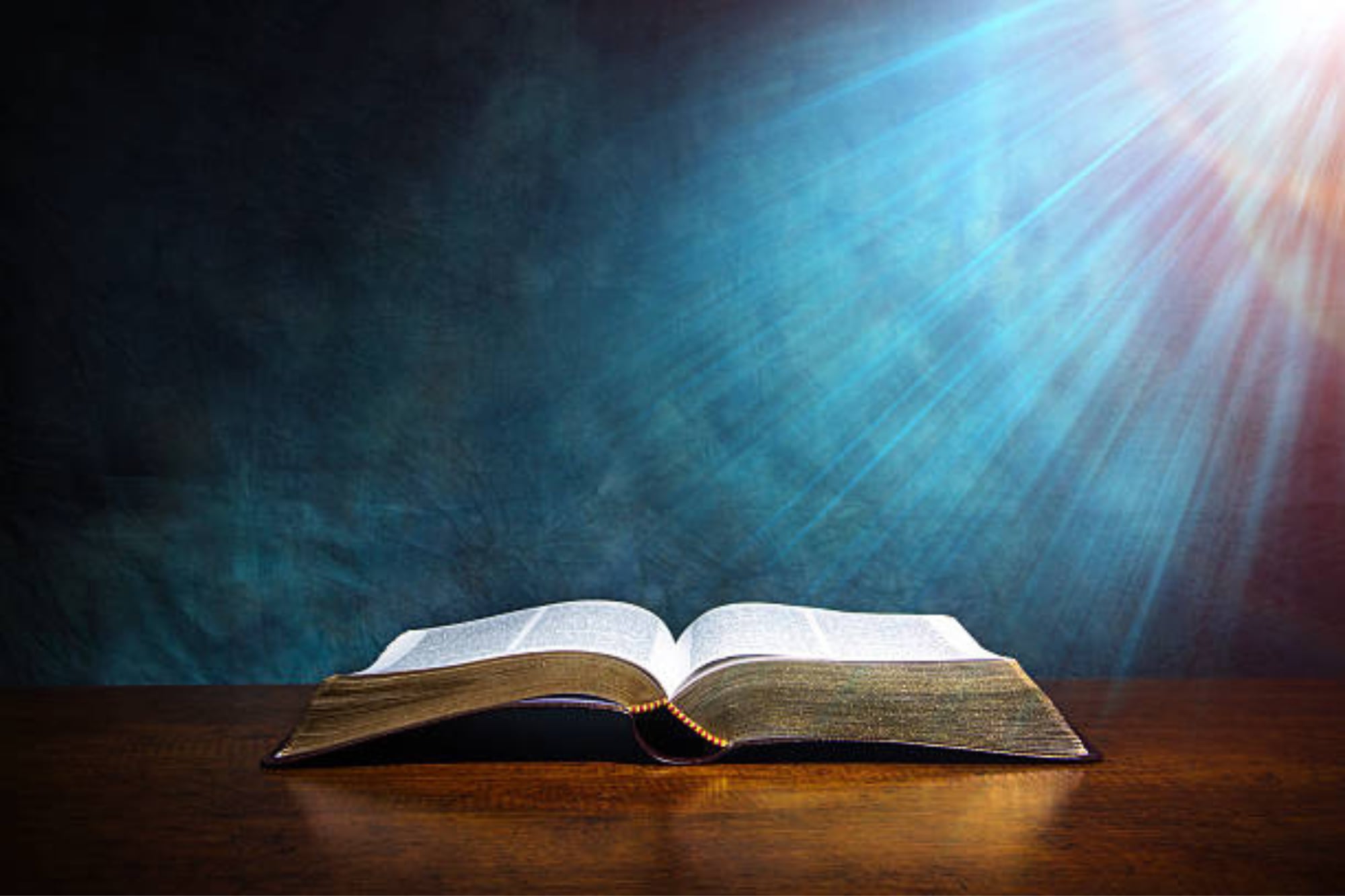 Las lecturas y el Evangelio del día