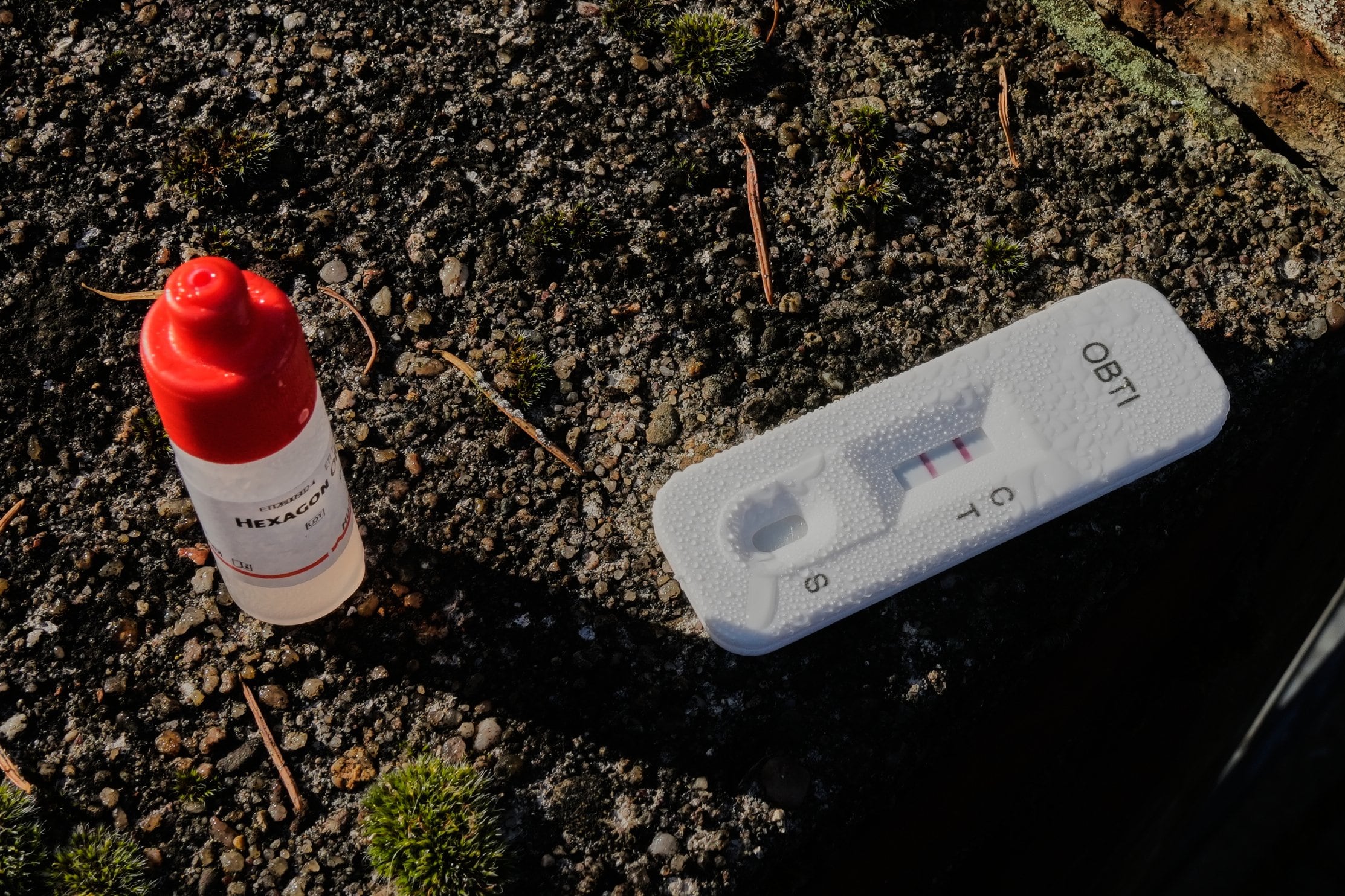 Después de un rápido examen, se determinó que el líquido rojo era sangre humana