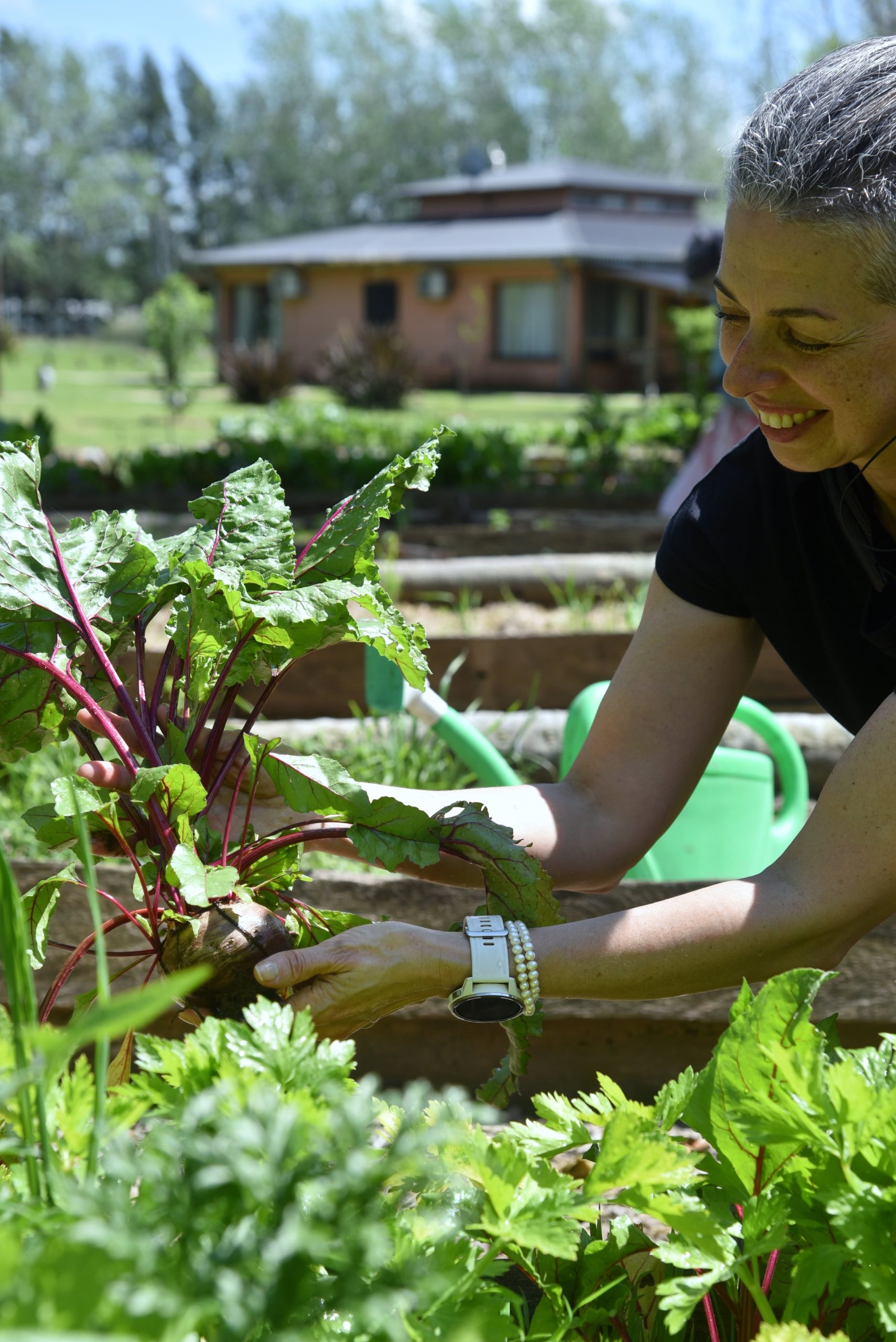 Las verduras de la huerta se utilizan para los platos con sabor local