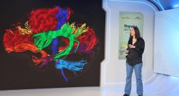 La clave para que la IA no perjudique nuestra capacidad de pensar