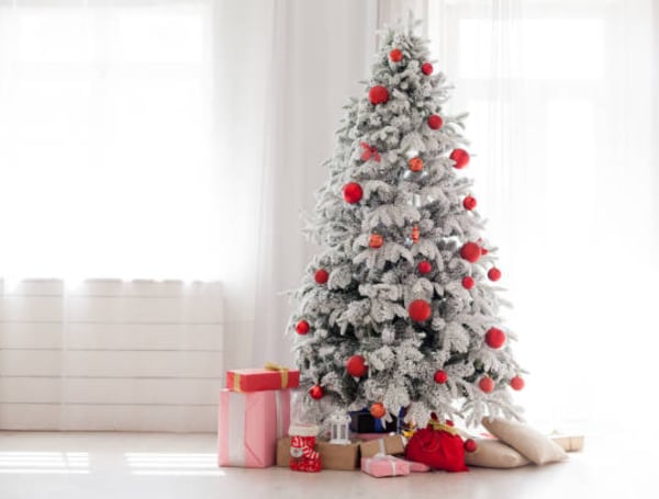 Todos los años los colores se actualizan