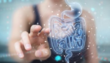 Así es como su intestino controla su estado emocional, el humor, el hambre y el estrés: es su forma de ‘hablar’ y debe escucharlo