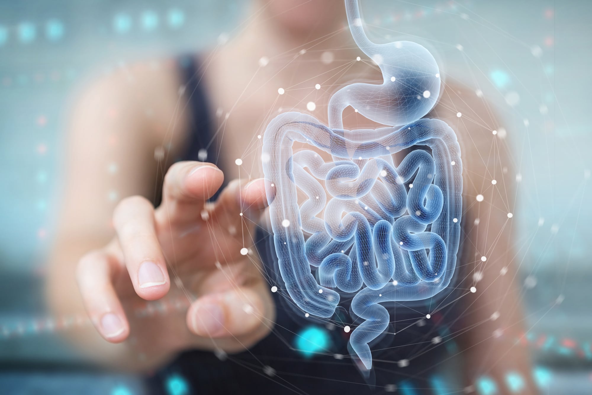 Contar con una buena alimentación es vital para el buen funcionamiento del organismo