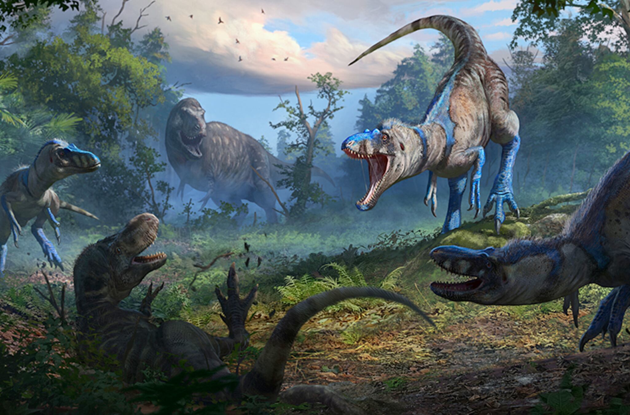 Las autoridades señalaron que el hallazgo del fósil en Carolina del Norte reveló que los estudios sobre el T. rex se basaban en dos animales completamente diferentes