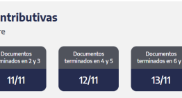 ANSES cuándo cobro: el cronograma de pagos para este viernes 14 de noviembre