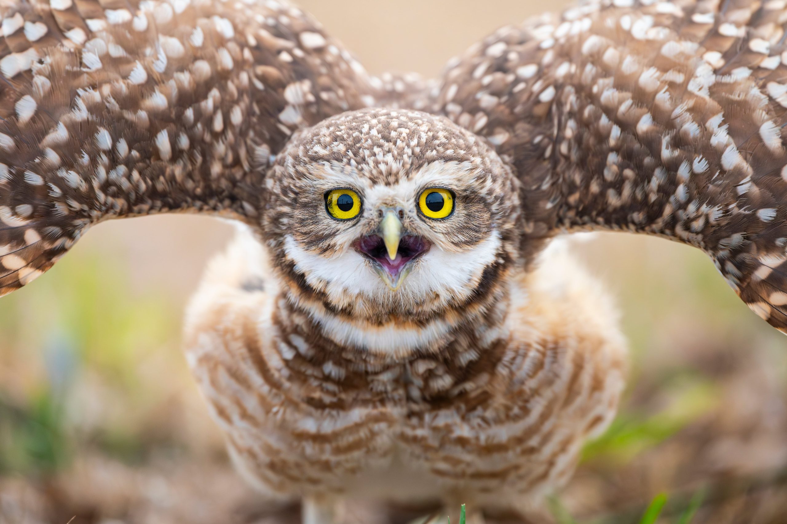 El reconocimiento impulsa a Santiago a seguir con su pasión y, a través de ella, mostrar a su país, Argentina.