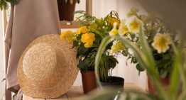 Rosa Lahoz, interiorista: “El blanco puede borrar la personalidad de una habitación pequeña”