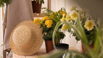 Rosa Lahoz, interiorista: “El blanco puede borrar la personalidad de una habitación pequeña”