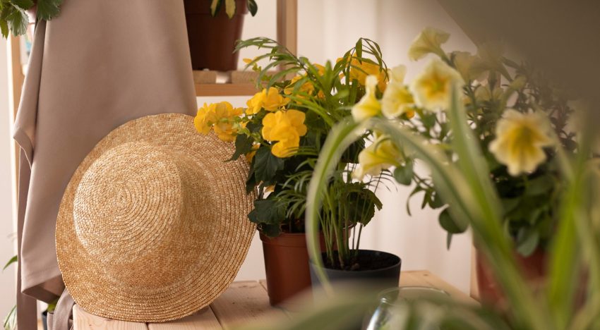 Rosa Lahoz, interiorista: “El blanco puede borrar la personalidad de una habitación pequeña”