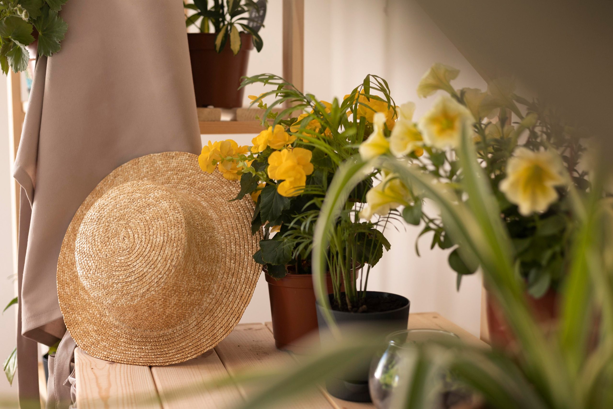 Al momento de pintar, es fundamental tener en cuenta las entradas de luz. (Foto: Freepik).