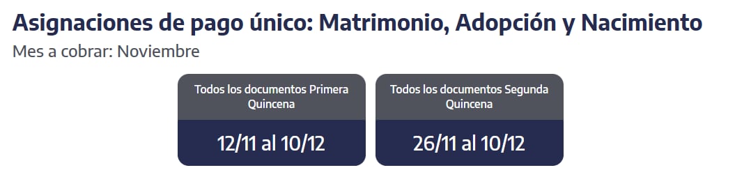 Cuándo cobro las asignaciones de pago único en noviembre 2025 (Foto: ANSES)