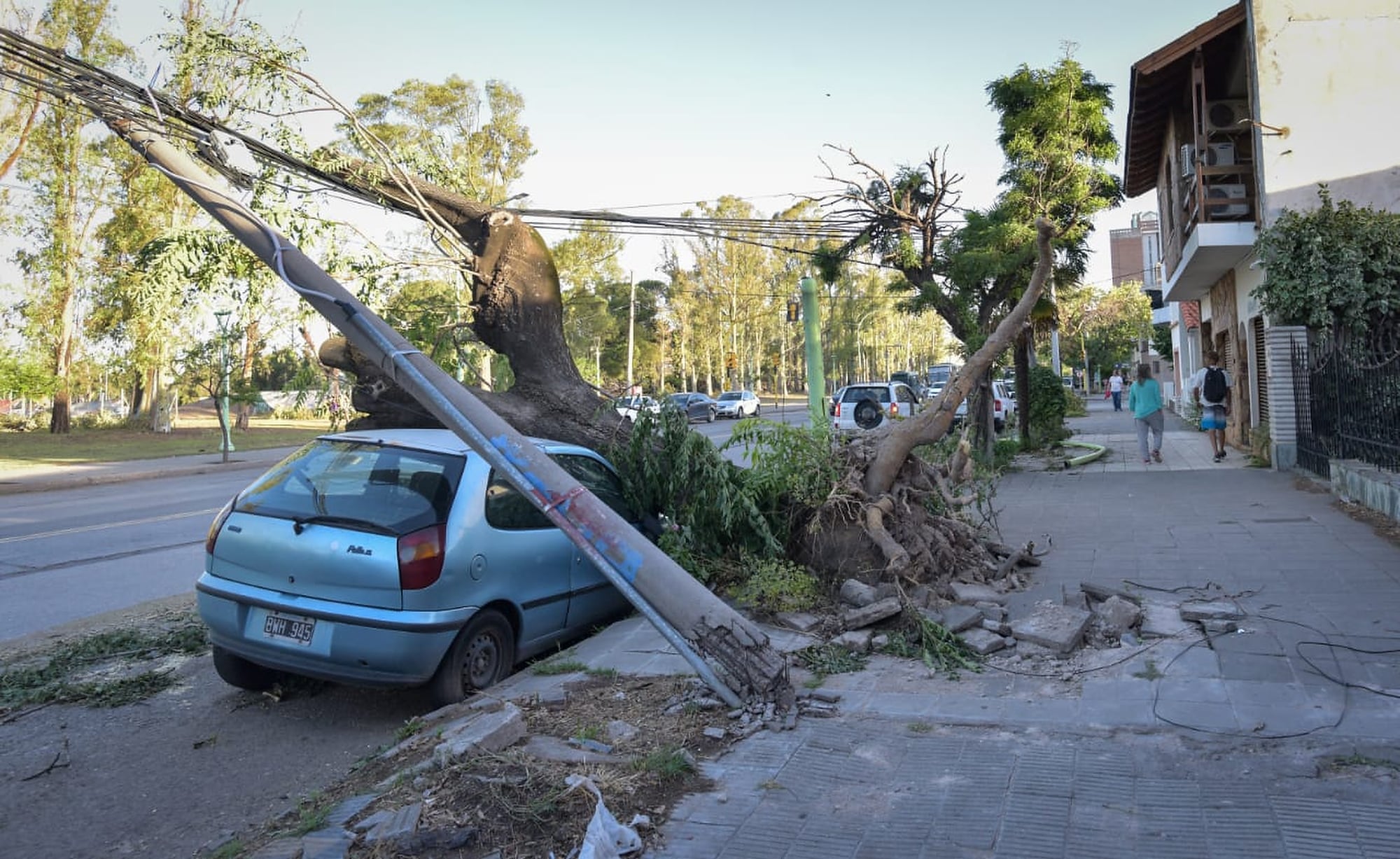 La ferocidad de los vientos arrancaron de raíz árboles, letreros y techos en diferentes barrios  
