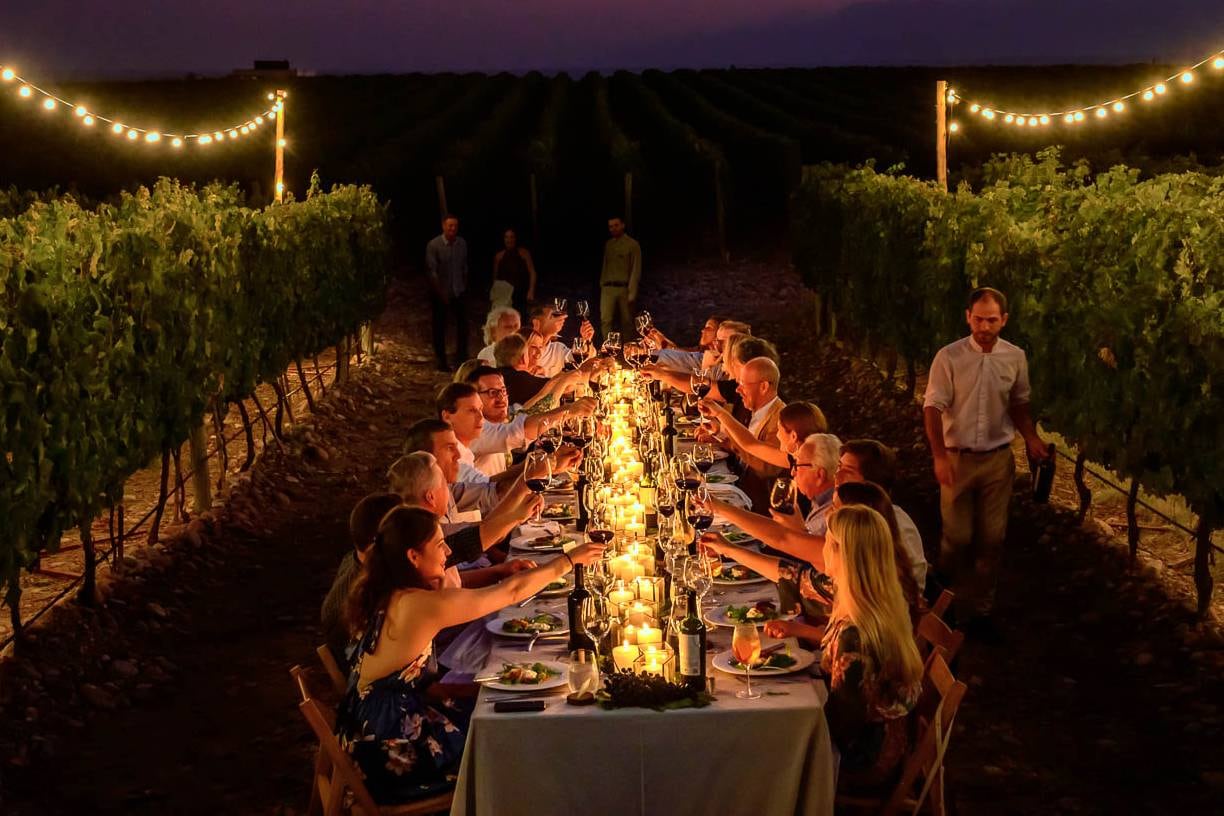 The Vines Resort & Spa está rodeado de viñas