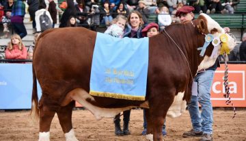 “Enorme esfuerzo”: el chico que a los 12 años es sensación por sacar campeones