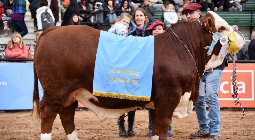 “Enorme esfuerzo”: el chico que a los 12 años es sensación por sacar campeones