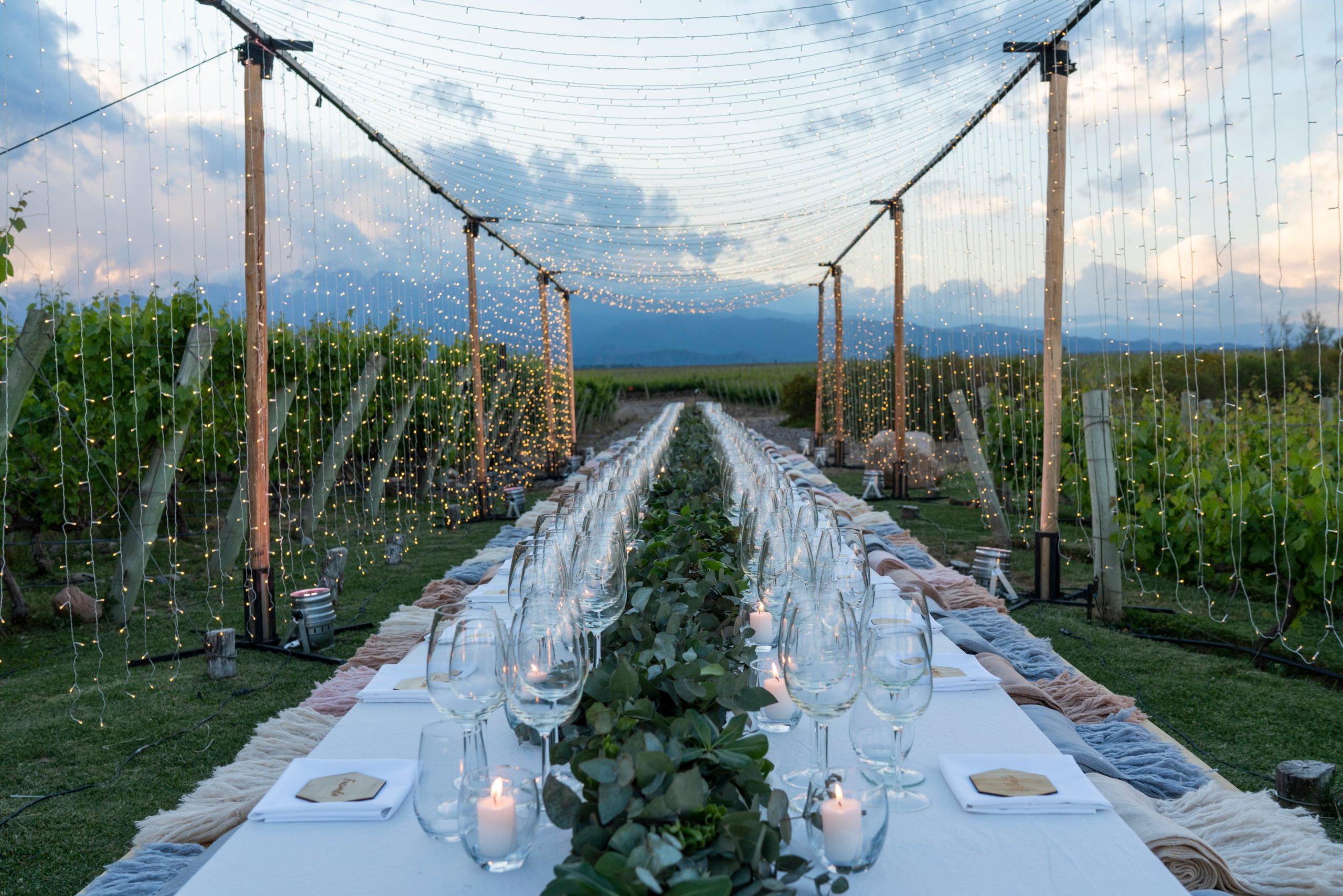 Las mesas se colocan entre las viñas en Mendoza