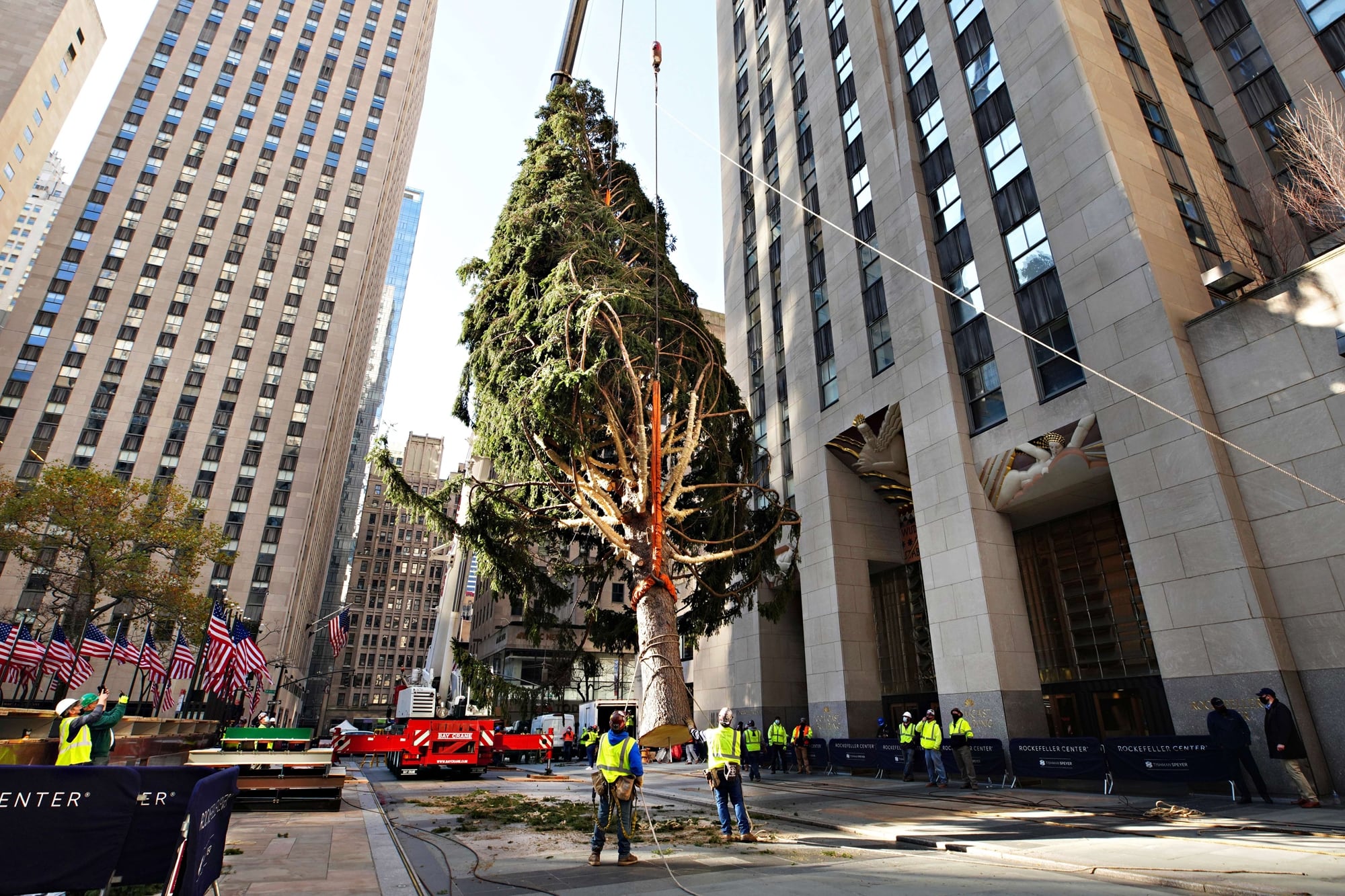 Este año, el árbol de Navidad del Rockefeller Center proviene de una familia de de East Greenbush (RockefellerCenter/Archivo)