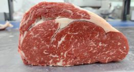 Acuerdo con Estados Unidos: la carne vacuna argentina se posiciona como la gran ganadora y otros sectores piden mayor reciprocidad