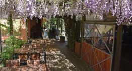 El hotel de campo que alterna hospedaje con formación de alumnos