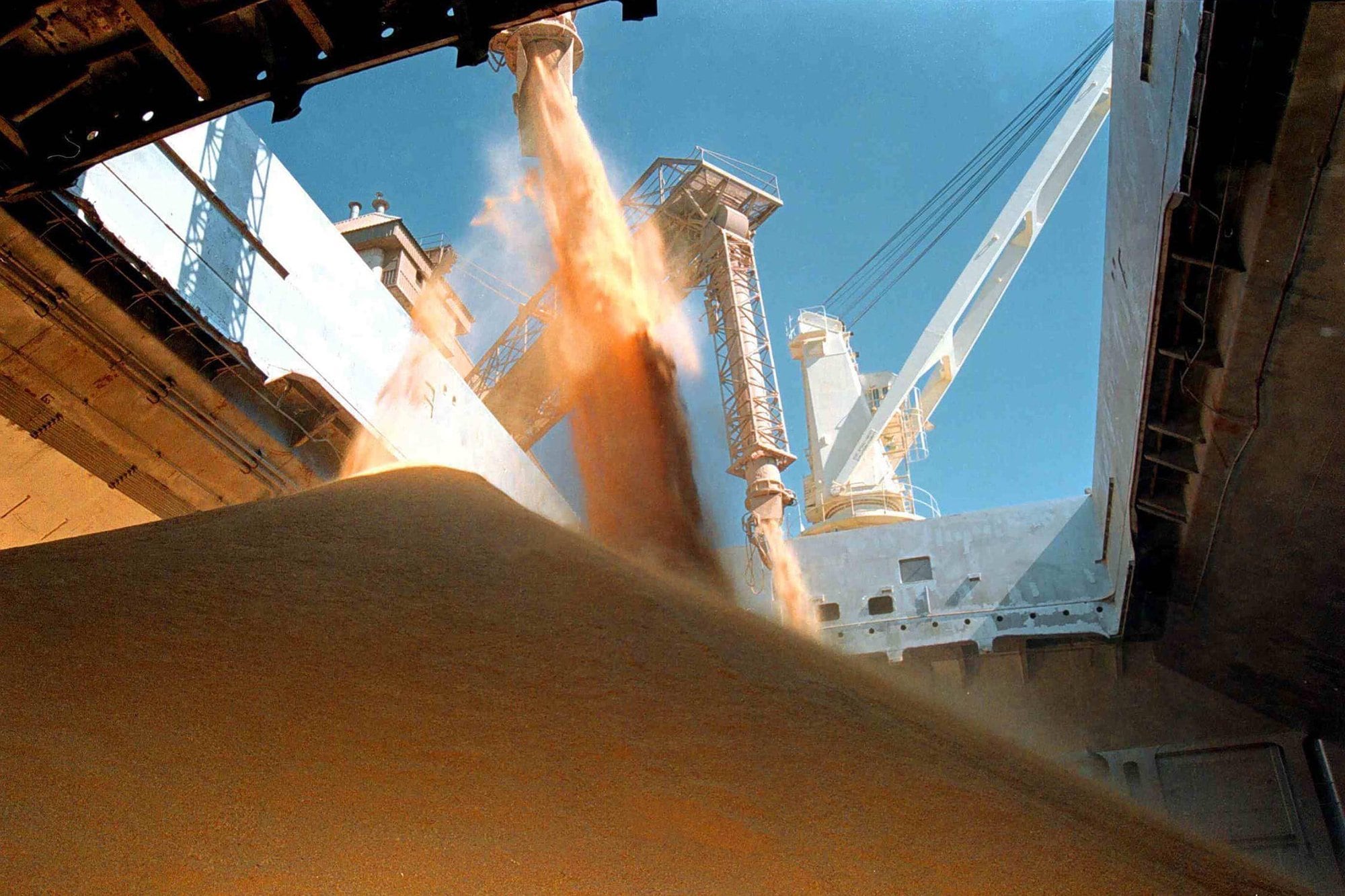 Fuentes de la industria oleaginosa señalaron que “es algo muy amplio y difícil de entender a qué se refiere concretamente”