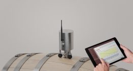 Vino 4.0: la inteligencia artificial ya se mete en las bodegas argentinas