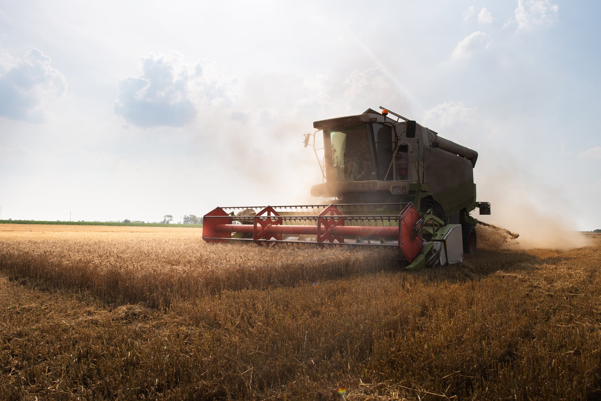 Se exploran otras regiones