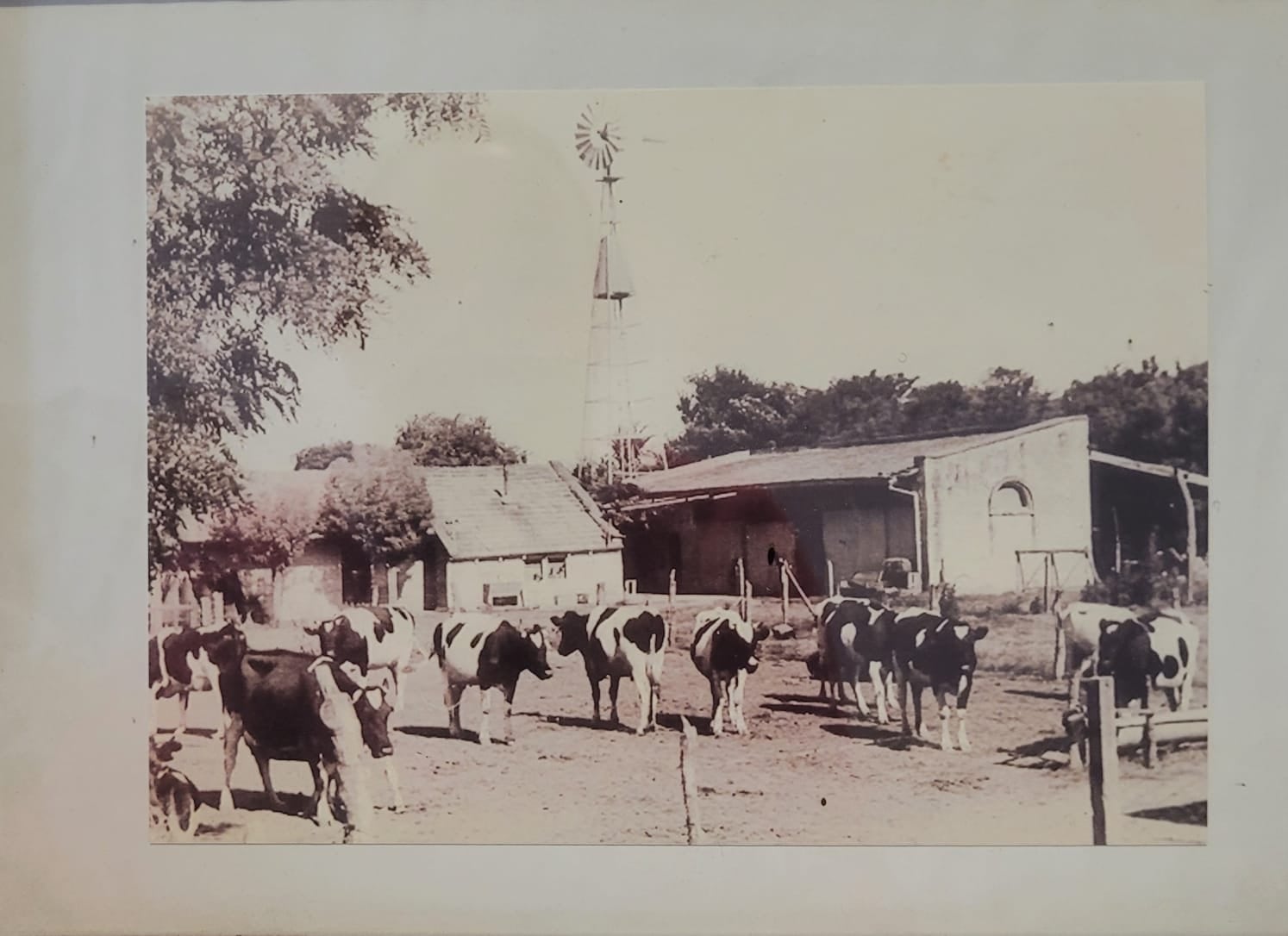 La estancia solía trabajar con ganado vacuno