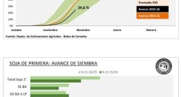 Panorama agrícola: demoras en soja y maíz, el girasol en su tramo final y el trigo con rindes récord