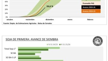Panorama agrícola: demoras en soja y maíz, el girasol en su tramo final y el trigo con rindes récord