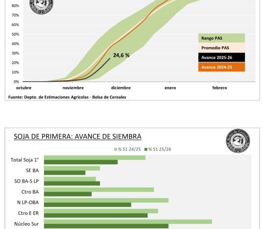 Panorama agrícola: demoras en soja y maíz, el girasol en su tramo final y el trigo con rindes récord