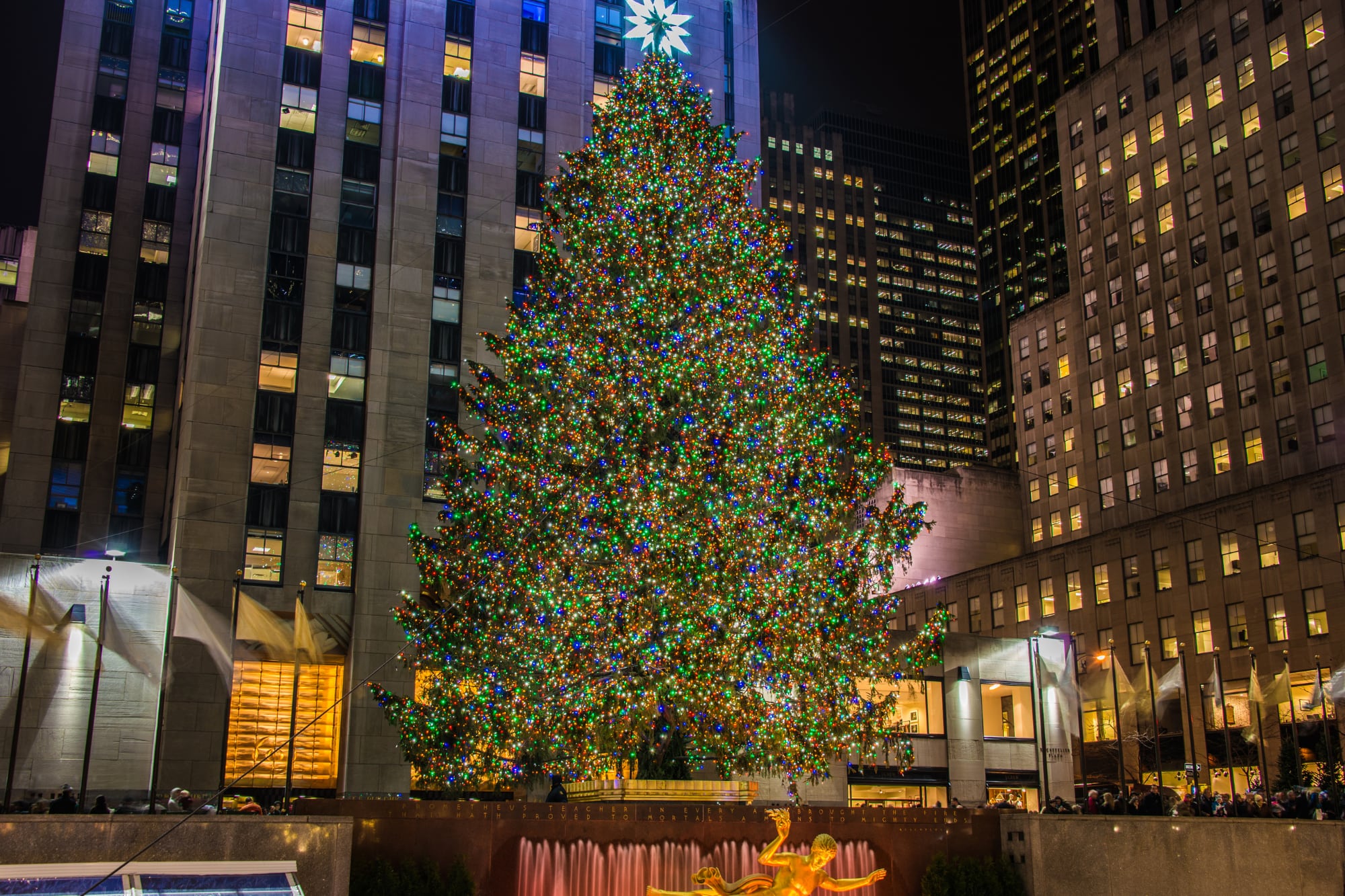 El árbol de Navidad del Rockefeller Center contará con una estrella de Swarovski, que pesa 900 libras (408 kilogramos), mide 8.86 pies de diámetro (2.7 metros) y posee más de 3 millones de cristales en 70 puntas (RockefellerCenter/Archivo)