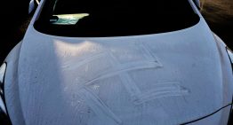 Aparecen esvásticas pintadas con sangre humana en autos y casas de una ciudad alemana