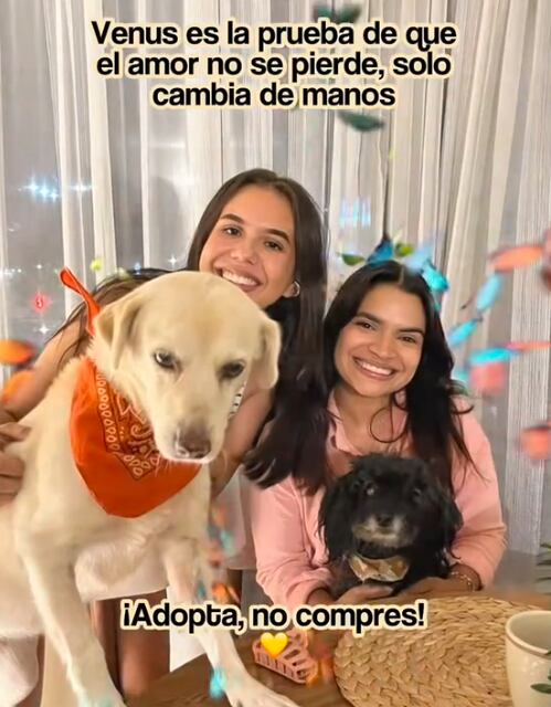 El final feliz entre las mujeres y las mascotas (Foto: @segunval)