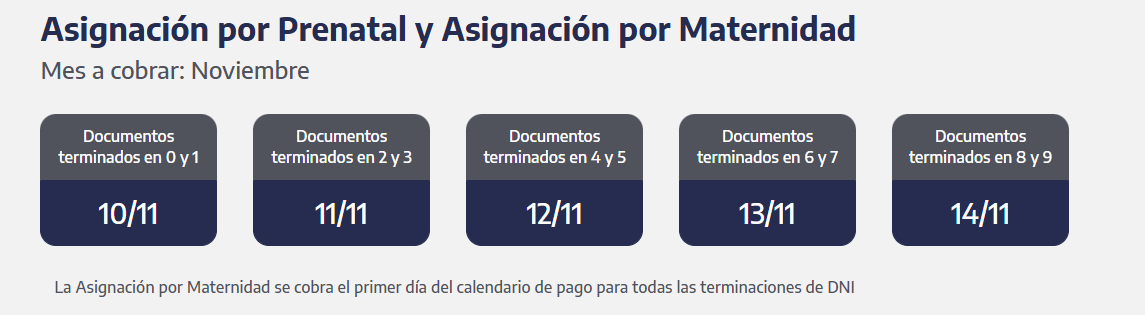 Cuándo cobro la asignación por Prenatal y Maternidad en noviembre 2025 (Foto: ANSES)