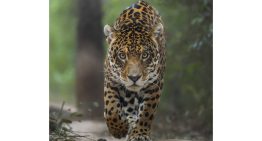 Tiene 21 años, ganó un concurso internacional mostrando la belleza argentina, y cree en su generación: “Cuesta apreciar con respeto”