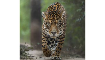 Tiene 21 años, ganó un concurso internacional mostrando la belleza argentina, y cree en su generación: “Cuesta apreciar con respeto”