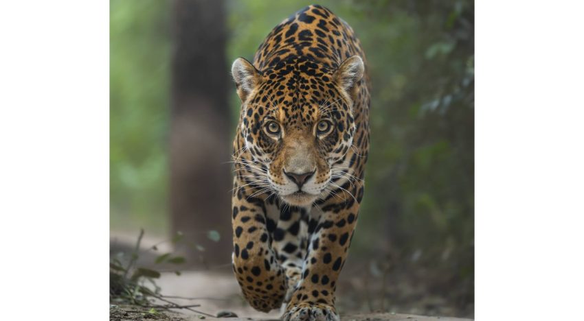 Tiene 21 años, ganó un concurso internacional mostrando la belleza argentina, y cree en su generación: “Cuesta apreciar con respeto”