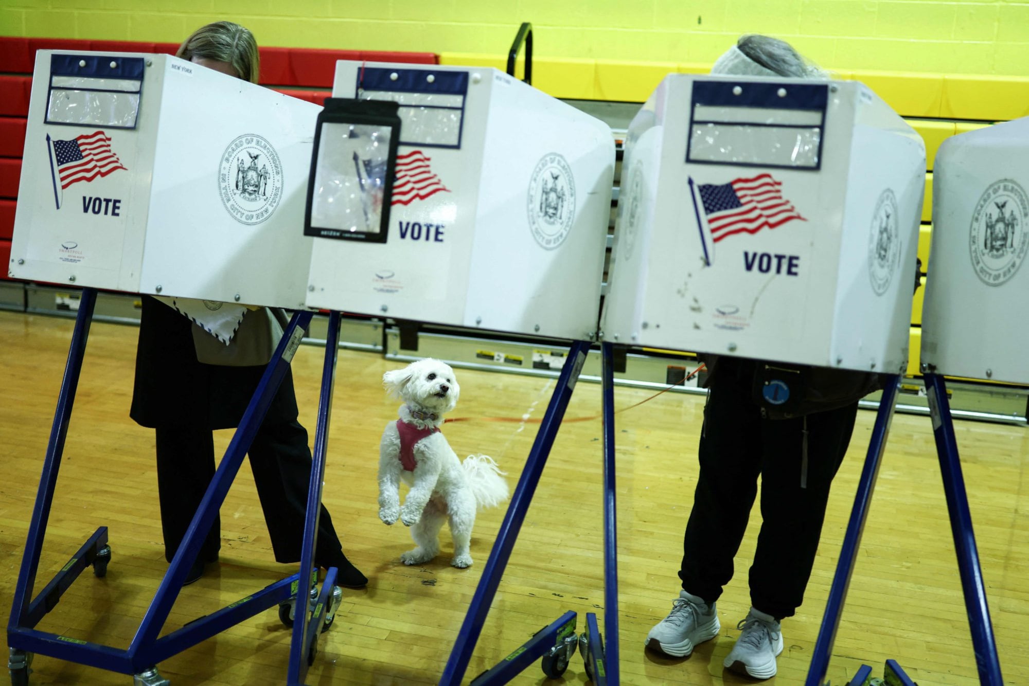 Miles de personas votaron anticipadamente en Nueva York (Photo by CHARLY TRIBALLEAU / AFP)