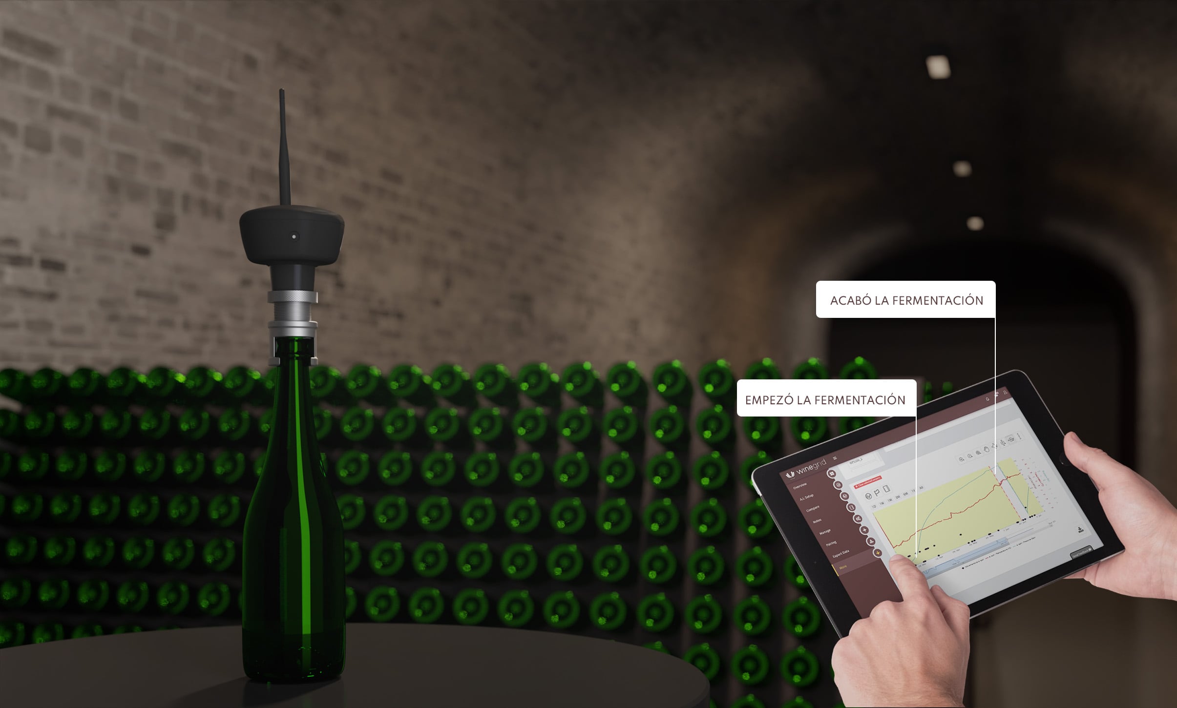 La inteligencia Artificial se mete de lleno en la producción de vino (Foto: Winegrid)