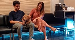 Perros y gatos despidiéndose de sus humanos en el tanatorio de Badalona