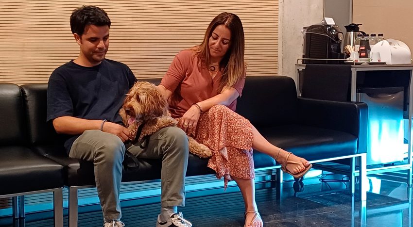 Perros y gatos despidiéndose de sus humanos en el tanatorio de Badalona