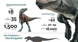 El hallazgo que celebran en Carolina del Norte: el fósil de una especie extinta que podría cambiar la historia