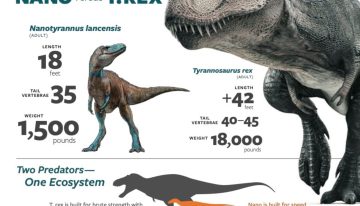 El hallazgo que celebran en Carolina del Norte: el fósil de una especie extinta que podría cambiar la historia
