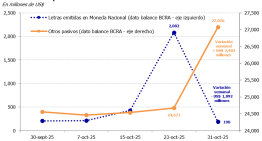 Un informe del Banco Central indicaría que el Tesoro de EE.UU. vendió los pesos que había comprado en octubre