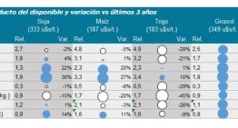 Nueva campaña: es buen momento para cambiar girasol por insumos